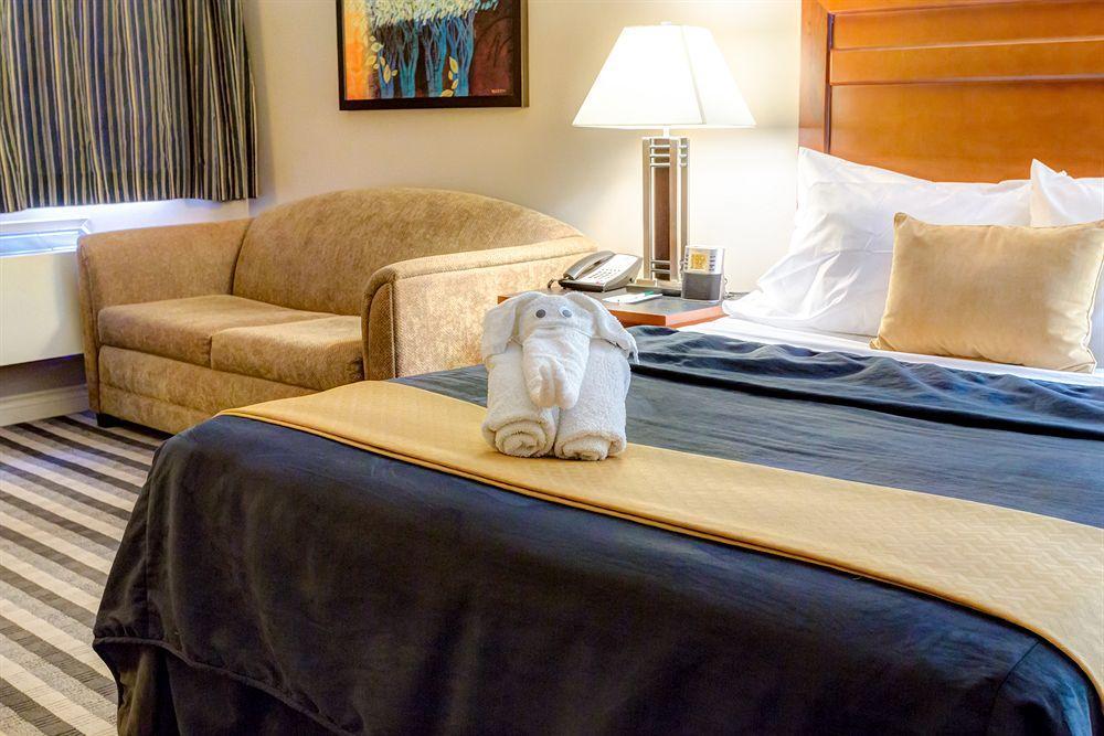 Quality Inn West אדמונטון מראה חיצוני תמונה